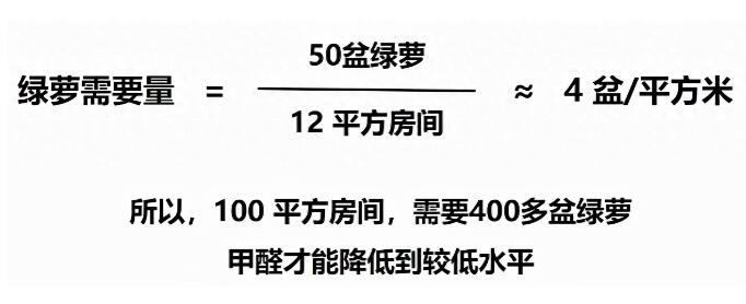 公司用綠蘿除甲醛，到底靠不靠譜？